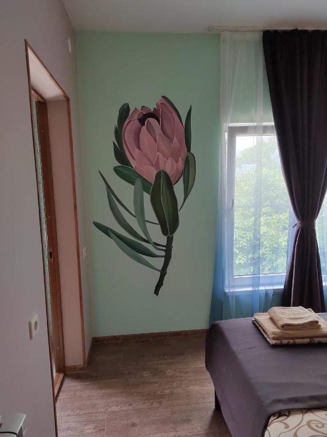 تساندريبش Guest House Санэль المظهر الخارجي الصورة